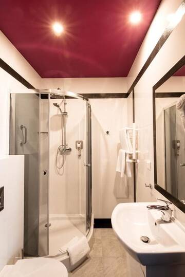 Фото номера Стандартный двухместный номер с 1 кроватью Отель Ibis Styles Gniezno Stare Miasto г. Гнезно 7