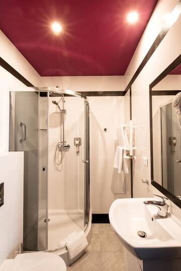 Фото номера Стандартный двухместный номер с 1 кроватью Отель Ibis Styles Gniezno Stare Miasto г. Гнезно 5